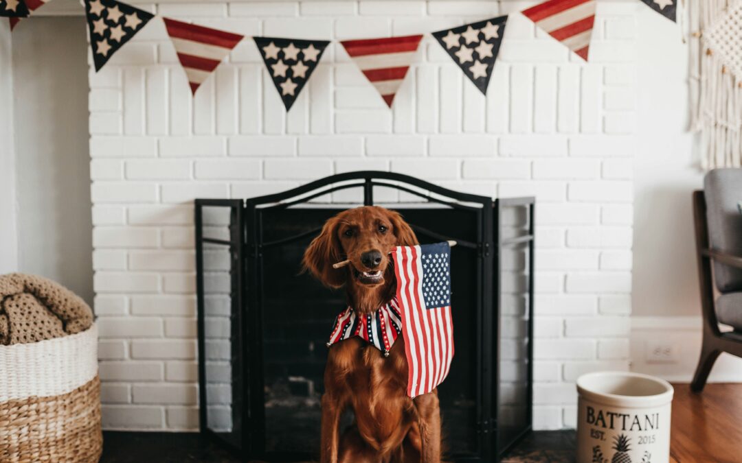 Unique 4th of July Fundraising Ideas for Nonprofits