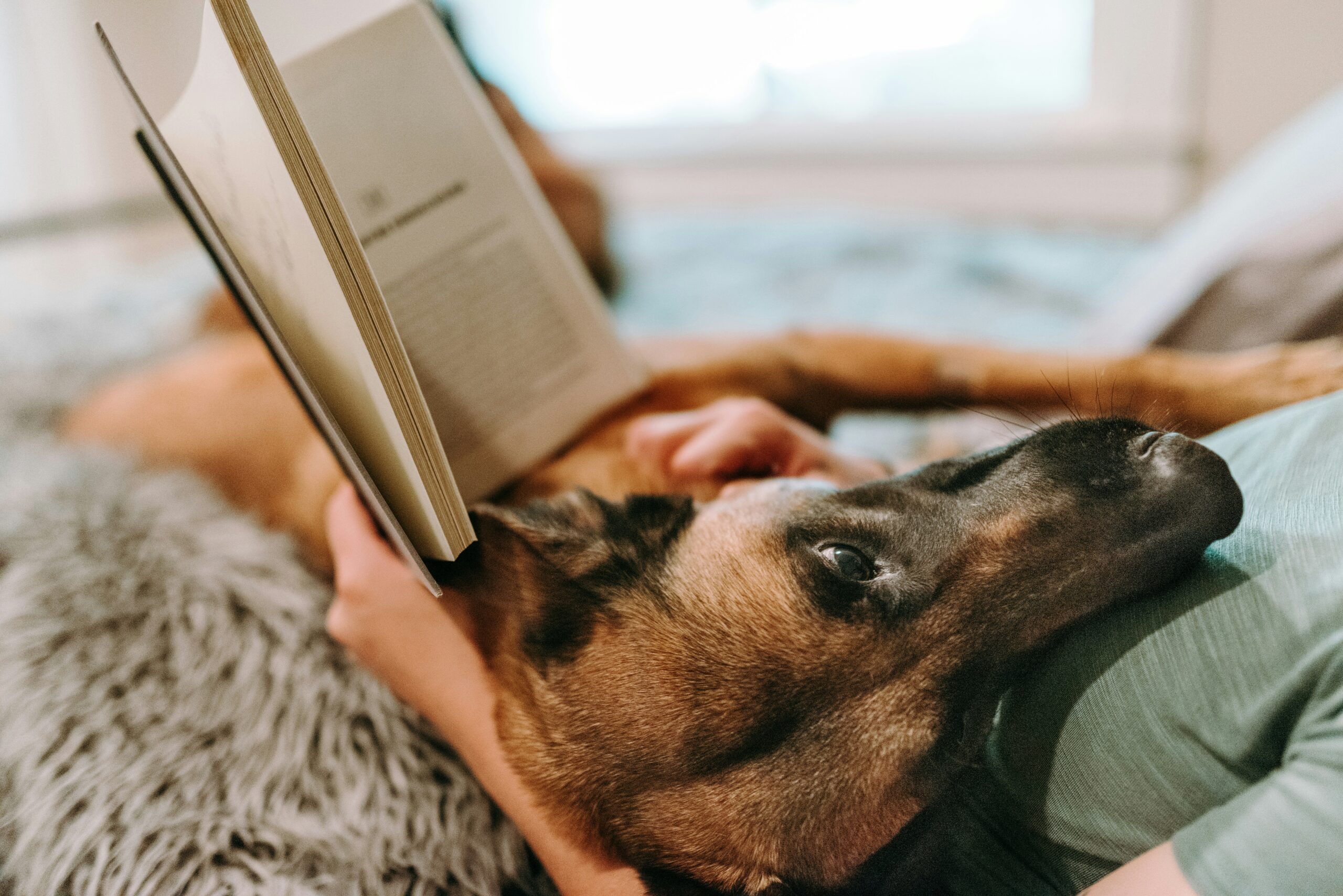 a person reading with an adorable dog